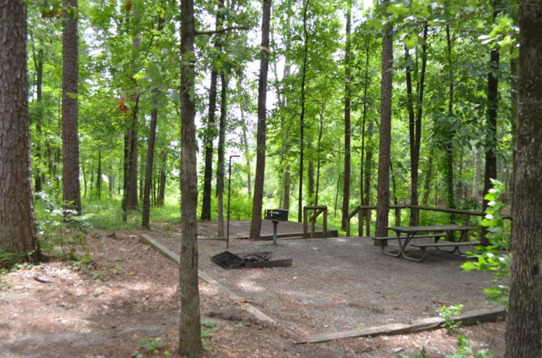 Parks And Camping DeGray Lake