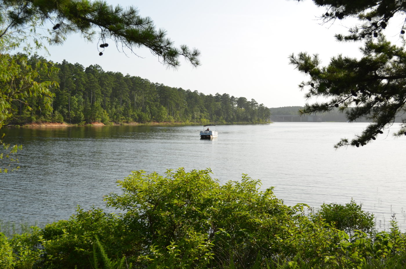 DeGray Lake – The Online Guide to DeGray Lake, Arkansas