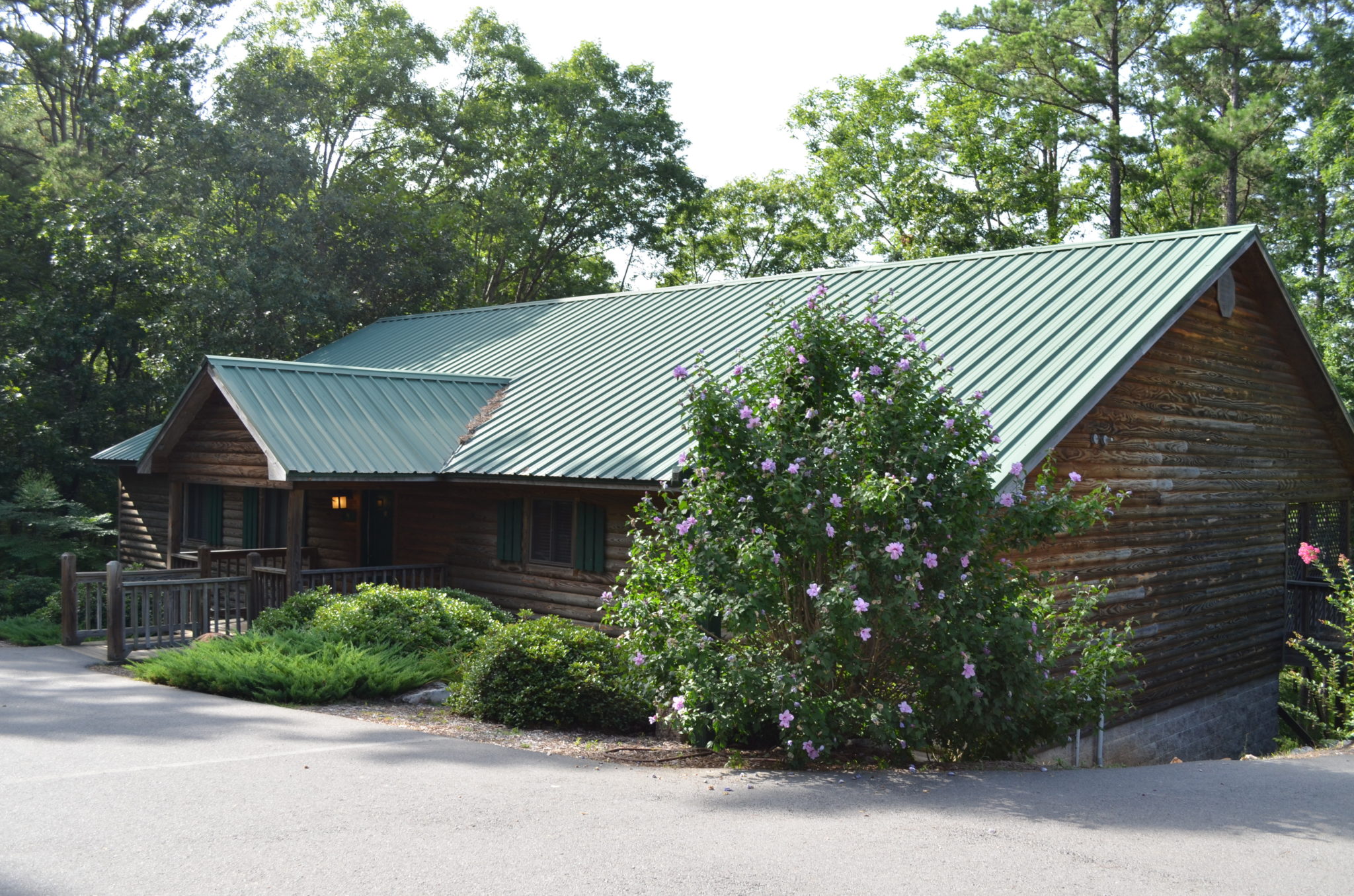 Cabin Rentals DeGray Lake